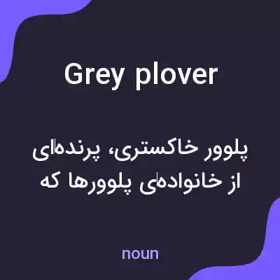 معنی grey plover به فارسی معنی grey plover به فارسی