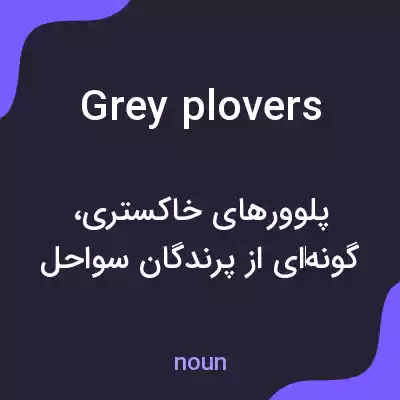 معنی grey plovers به فارسی معنی grey plovers به فارسی
