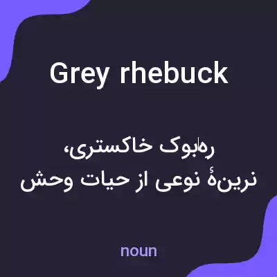 معنی grey rhebuck به فارسی معنی grey rhebuck به فارسی