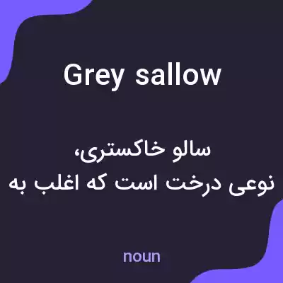 معنی grey sallow به فارسی معنی grey sallow به فارسی
