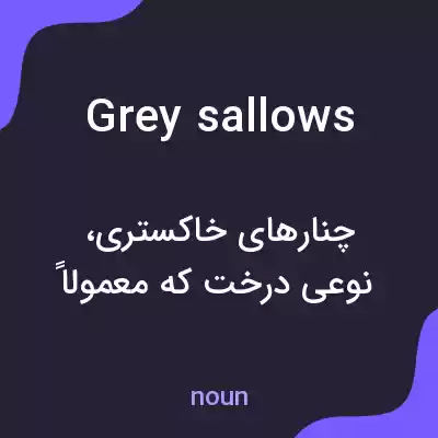 معنی grey sallows به فارسی