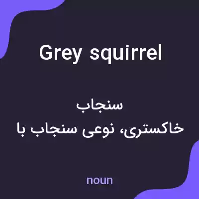 معنی grey squirrel به فارسی معنی grey squirrel به فارسی