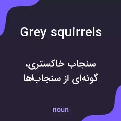 معنی grey squirrels به فارسی معنی grey squirrels به فارسی