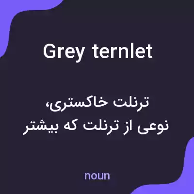 معنی grey ternlet به فارسی معنی grey ternlet به فارسی