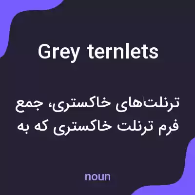 معنی grey ternlets به فارسی معنی grey ternlets به فارسی