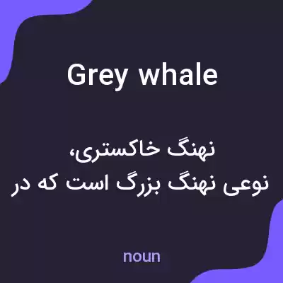 معنی grey whale به فارسی معنی grey whale به فارسی