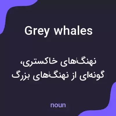 معنی grey whales به فارسی معنی grey whales به فارسی