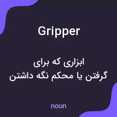 معنی gripper به فارسی معنی gripper به فارسی