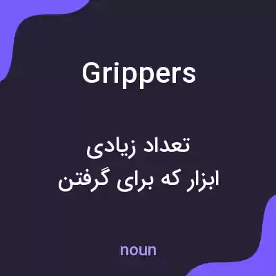 معنی grippers به فارسی معنی grippers به فارسی