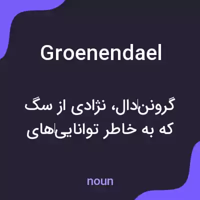 معنی groenendael به فارسی معنی groenendael به فارسی
