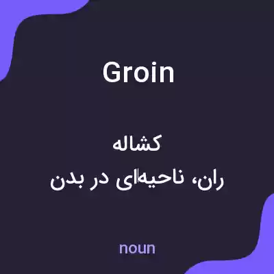معنی groin به فارسی