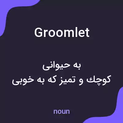 معنی groomlet به فارسی معنی groomlet به فارسی