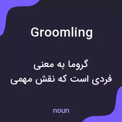 معنی groomling به فارسی معنی groomling به فارسی