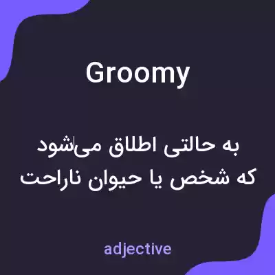 معنی groomy به فارسی معنی groomy به فارسی