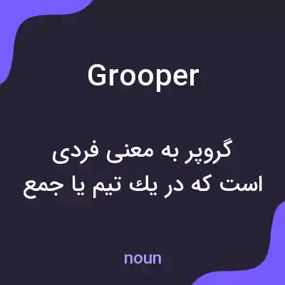 معنی grooper به فارسی معنی grooper به فارسی