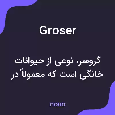 معنی groser به فارسی معنی groser به فارسی