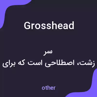 معنی grosshead به فارسی معنی grosshead به فارسی