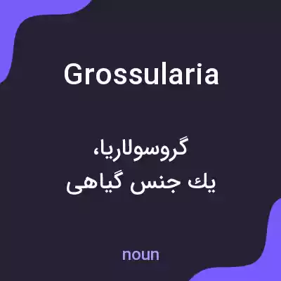 معنی grossularia به فارسی معنی grossularia به فارسی