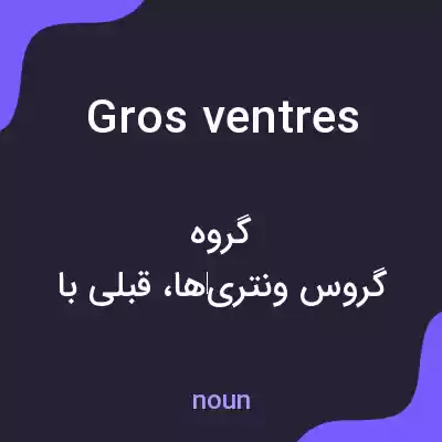 معنی gros ventres به فارسی معنی gros ventres به فارسی