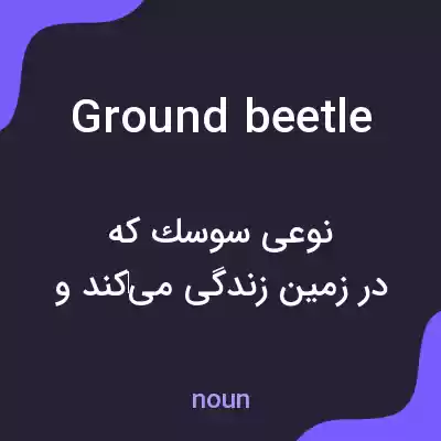معنی ground beetle به فارسی معنی ground beetle به فارسی