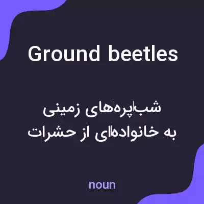 معنی ground beetles به فارسی معنی ground beetles به فارسی