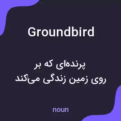 معنی groundbird به فارسی معنی groundbird به فارسی