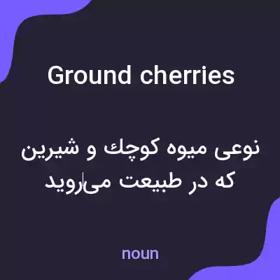 معنی ground cherries به فارسی معنی ground cherries به فارسی