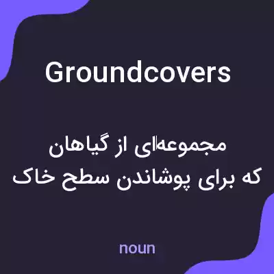 معنی groundcovers به فارسی معنی groundcovers به فارسی