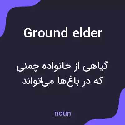 معنی ground elder به فارسی معنی ground elder به فارسی
