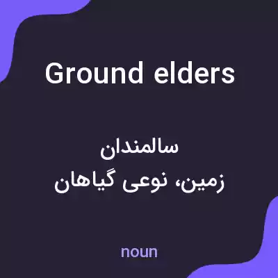 معنی ground elders به فارسی معنی ground elders به فارسی