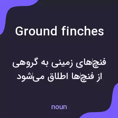 معنی ground finches به فارسی