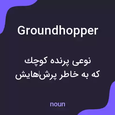 معنی groundhopper به فارسی معنی groundhopper به فارسی