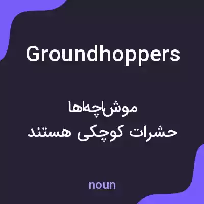 معنی groundhoppers به فارسی معنی groundhoppers به فارسی
