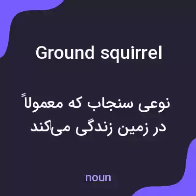معنی ground squirrel به فارسی معنی ground squirrel به فارسی