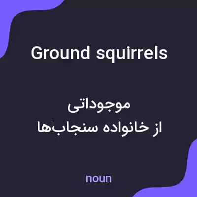 معنی ground squirrels به فارسی معنی ground squirrels به فارسی