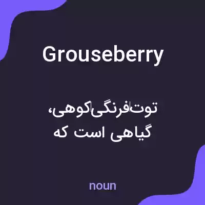 معنی grouseberry به فارسی معنی grouseberry به فارسی