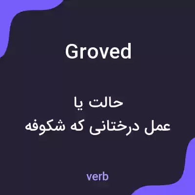 معنی groved به فارسی معنی groved به فارسی