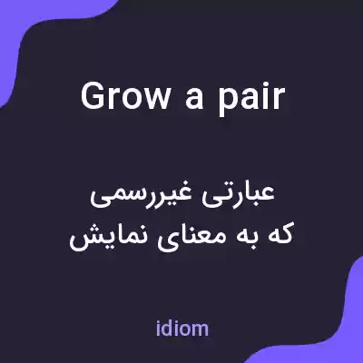 معنی grow a pair به فارسی معنی grow a pair به فارسی
