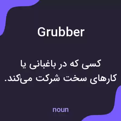 معنی grubber به فارسی