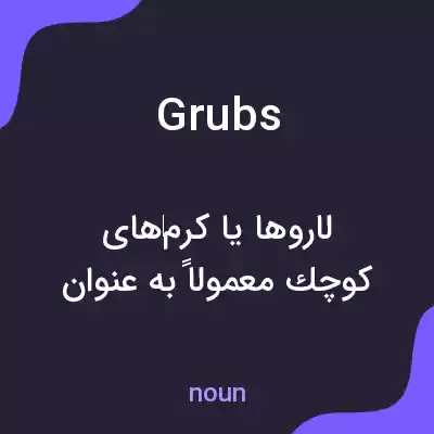معنی grubs به فارسی معنی grubs به فارسی