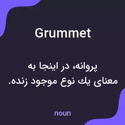 معنی grummet به فارسی معنی grummet به فارسی