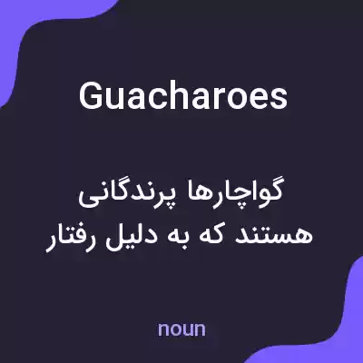 معنی guacharoes به فارسی معنی guacharoes به فارسی