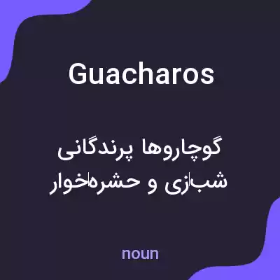 معنی guacharos به فارسی معنی guacharos به فارسی