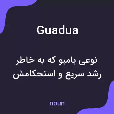 معنی guadua به فارسی معنی guadua به فارسی
