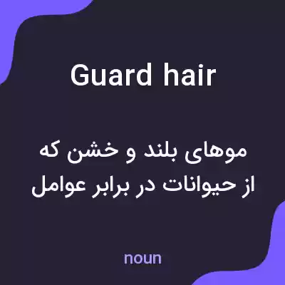 معنی guard hair به فارسی معنی guard hair به فارسی