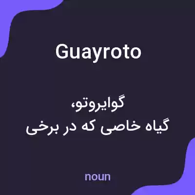 معنی guayroto به فارسی معنی guayroto به فارسی