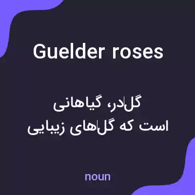 معنی guelder roses به فارسی معنی guelder roses به فارسی