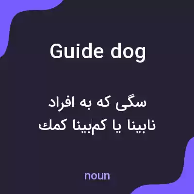معنی guide dog به فارسی معنی guide dog به فارسی