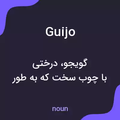 معنی guijo به فارسی معنی guijo به فارسی