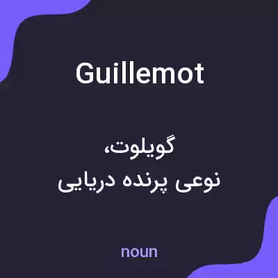 معنی guillemot به فارسی